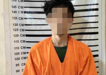 Polsek Brandan Ungkap Pelaku Pencurian Sepeda Motor
