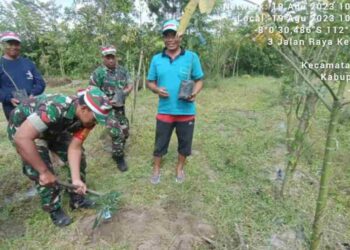 Dukung Penghijauan, Babinsa Koramil Udanawu dan Masyarakat Tanam Pohon Alpukat
