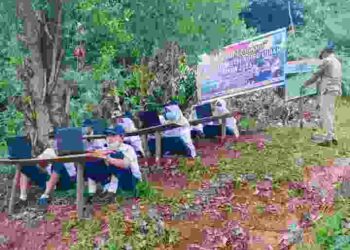 Murid SMP N 4 Kecamatan Tigo Lurah-Solok Ikuti ANBK Didalam  Hutan