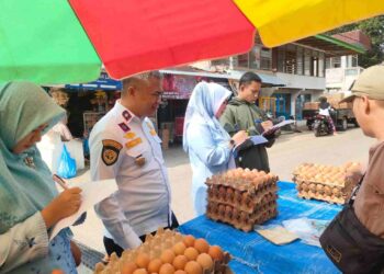 Sejumlah Harga Bahan Pokok di Kabupaten Solok Masih Stabil