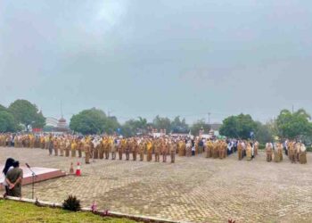 ASN dan THL di Kabupaten Solok Dituntut Menjadi Pelopor Kesehatan