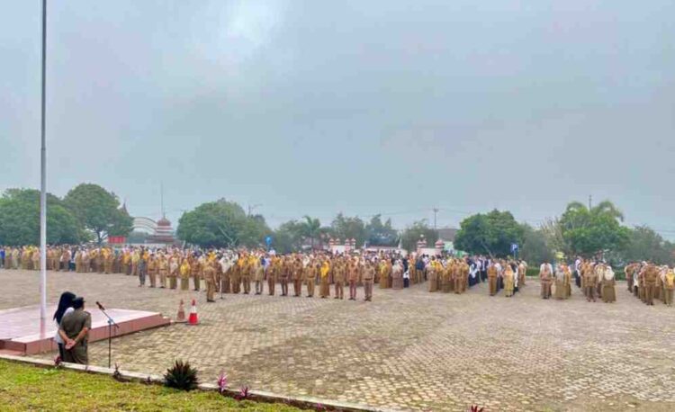 ASN dan THL di Kabupaten Solok Dituntut Menjadi Pelopor Kesehatan