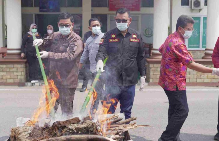 Bupati Solok Menghadiri Pemusnahan Barang Bukti Tindak Pidana Umum di Kejari