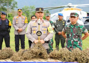 Polda Sumut Berhasil Temukan 150 Ha Ladang Ganja dengan Teknologi Citra Satelit