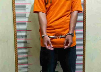 Pengedar Narkoba di Hinai Ditangkap Polisi