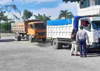 Pemuda Langkat Apresiasi Dishub Gelar Razia Truk Over Load dan Over Dimensi