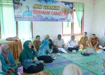 TPID Kabupaten Solok Laksanakan Gerakan Menanam Cabai 