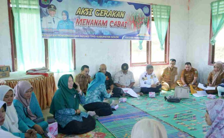 TPID Kabupaten Solok Laksanakan Gerakan Menanam Cabai
