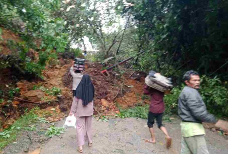 Bupati Solok Tugaskan Tim BPBD dan Dinas PU Bersihkan Material Longsor dari Jalan Nasional