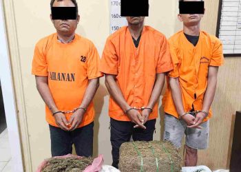 Sat Narkoba Polres Langkat Amankan 3 Tersangka dan 32 Kg Ganja