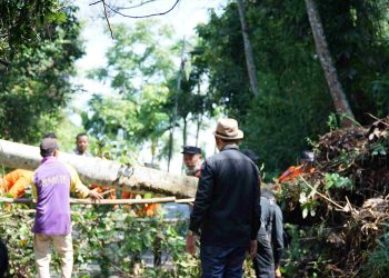Pemkab Solok Turunkan Alat Berat Dampak Bencana Alam Tanah Longsor