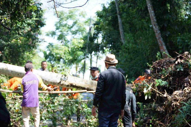 Pemkab Solok Turunkan Alat Berat Dampak Bencana Alam Tanah Longsor