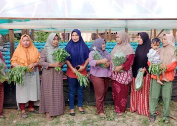 Dapatkan Sayur Sehat, Warga Galakkan Tanaman Sayuran Hidroponik untuk Cegah Stunting