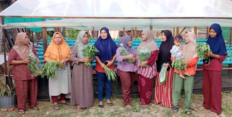 Dapatkan Sayur Sehat, Warga Galakkan Tanaman Sayuran Hidroponik untuk Cegah Stunting