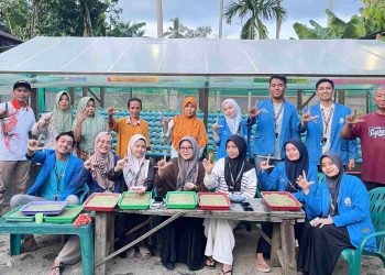 Mahasiswa KKN di Desa Pematang Tengah Bantu Warga Lakukan Pembenihan Tanaman Hidroponik