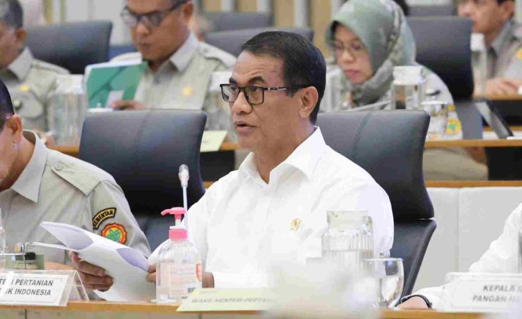 Mentan: Swasembada Pangan Era Jokowi Sama Hebatnya dengan Era Soeharto