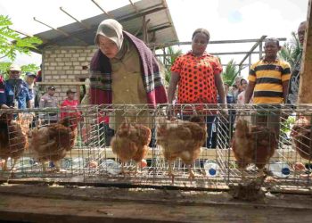 Mensos Risma Prioritaskan Bantuan Terintegrasi untuk Penanganan Kusta