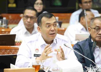 Silmy Karim: Revisi UU Imigrasi untuk Penguatan Pengawasan WNA dan Perbaikan Pelayanan