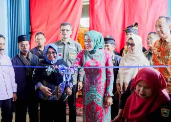 Pemkab Solok Serahkan Rice Milling Unit ke Gapoktan Parambahan Permai