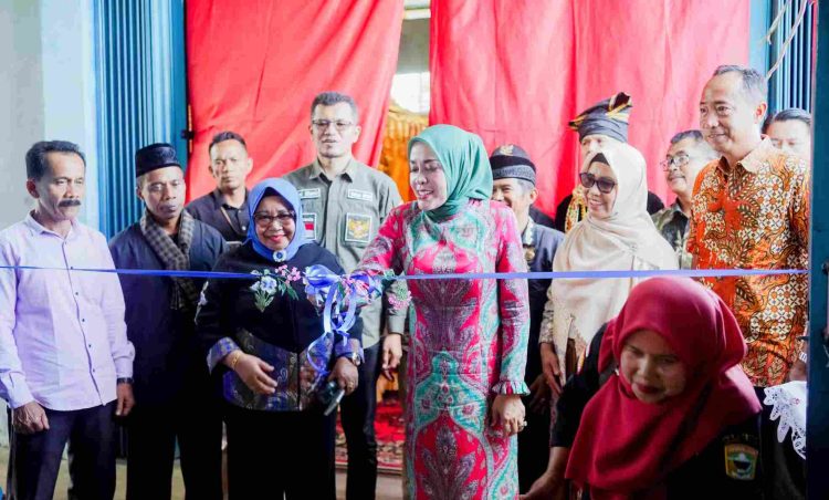 Pemkab Solok Serahkan Rice Milling Unit ke Gapoktan Parambahan Permai