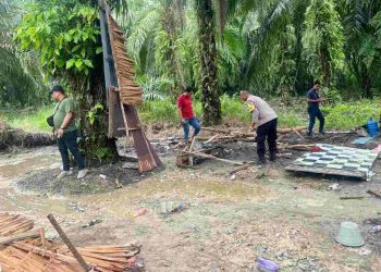 Satnarkoba Polres Langkat Grebek Barak Narkoba di Padang Tualang