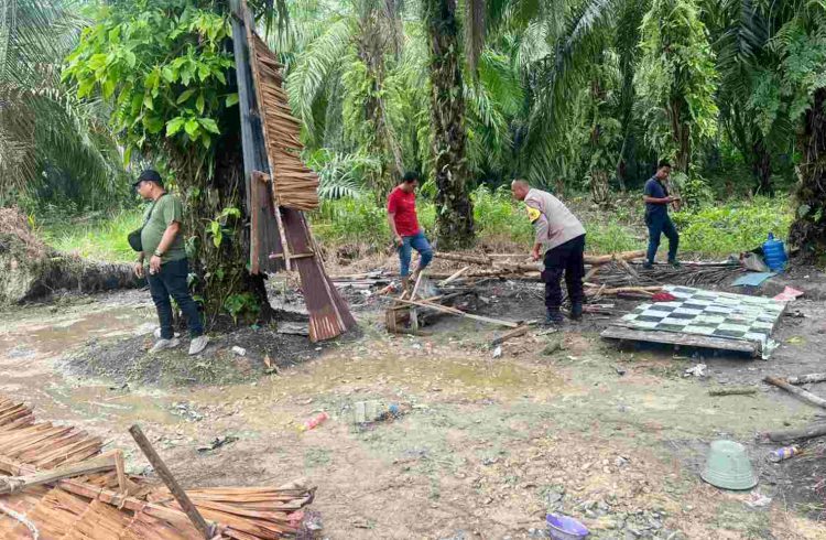 Satnarkoba Polres Langkat Grebek Barak Narkoba di Padang Tualang