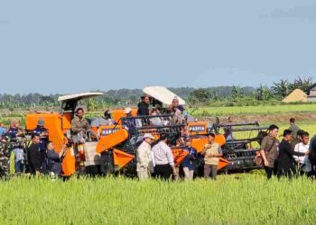 Panglima TNI Dampingi Presiden RI Tinjau Program Swasembada Pangan Nasional di Merauke