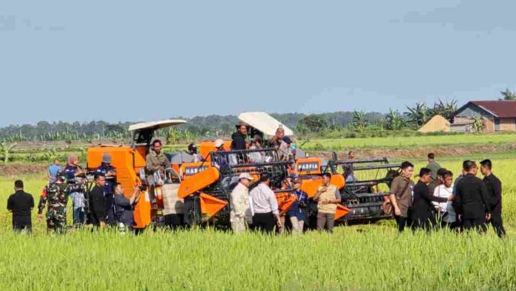 Panglima TNI Dampingi Presiden RI Tinjau Program Swasembada Pangan Nasional di Merauke