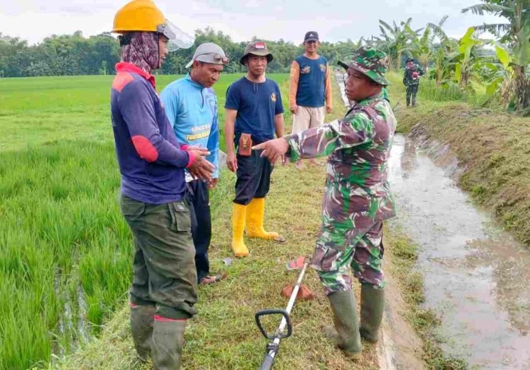 Babinsa Nogosari Bantu Optimalkan Saluran Irigasi untuk Petani