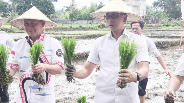 Sesditjenpas Lakukan Kunker ke Lapas Kelas IIA Lombok Barat