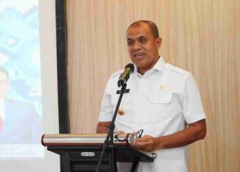 Pj Bupati Langkat Hadiri Serah Terima Lampu Penerangan untuk Jalan Desa