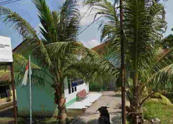 Dugaan Korupsi dan Monopoli Absensi di Puskesmas Pantai Cermin, Langkat