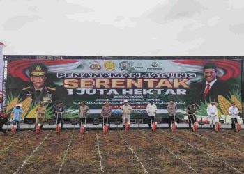 Kepala BSKDN Kemendagri Menghadiri Kegiatan Penanaman Jagung Serentak 1 Juta Hektar