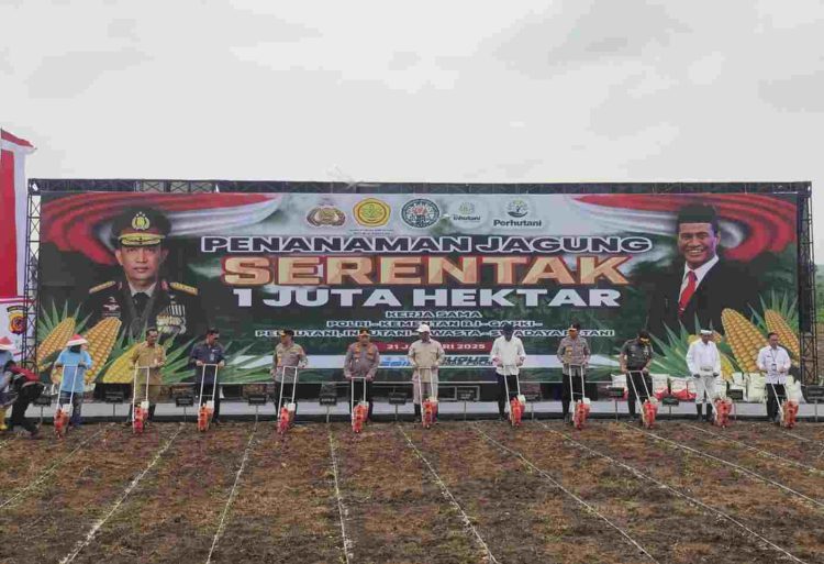 Kepala BSKDN Kemendagri Menghadiri Kegiatan Penanaman Jagung Serentak 1 Juta Hektar