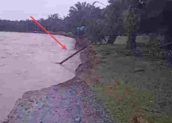 Pemadaman Listrik PLN Tanjung Pura Tadi Malam Akibat Faktor Alam