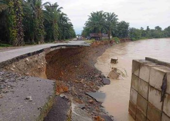 Jembatan Provinsi di Ekowisata Tangkahan Runtuh Akibat Hujan Deras
