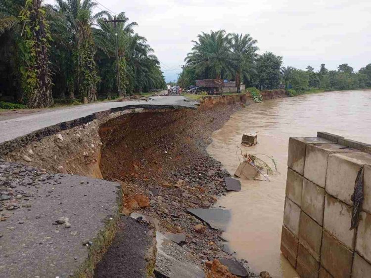 Jembatan Provinsi di Ekowisata Tangkahan Runtuh Akibat Hujan Deras