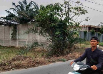 Pembangunan 4 Ruko di Tanjung Pura dan Pagar Tembok Tinggi 3 Meter Ternyata Belum Berizin
