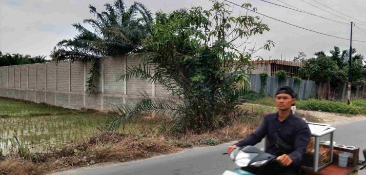 Pembangunan 4 Ruko di Tanjung Pura dan Pagar Tembok Tinggi 3 Meter Ternyata Belum Berizin