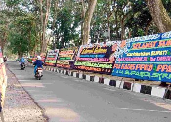 Pejabat, Ormas dan Pengusaha Ucapkan Selamat atas Pelantikan Bupati dan Wakil Bupati Langkat