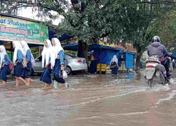 7 Kecamatan di Langkat-Sumut Rawan Banjir
