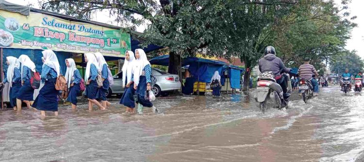 7 Kecamatan di Langkat-Sumut Rawan Banjir