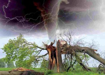 Langkat Rawan Bencana Angin Puting Beliung, Bagaimana di Tahun 2025?