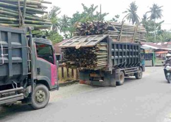 Harga Bambu untuk Reklamasi Migas di Desa Bubun-Tanjung Pura Diduga Bermasalah