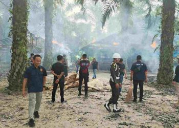 Denpom I/5 Medan dan Polrestabes Razia Arena Sabung Ayam di Pancur Batu