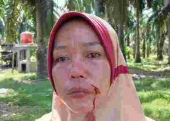 Penjaga Kebun Sawit di Desa Bubun Diduga Aniaya IRT hingga Berdarah