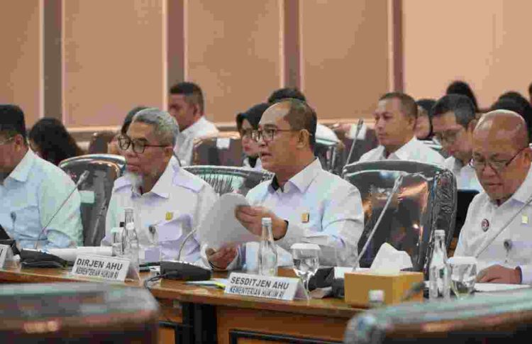 Tren Positif Permohonan KI dan AHU: Merek, Hak Cipta hingga Koperasi Merah Putih