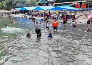 Objek Wisata Tangkahan, Cocok Bagi Kamu yang Ingin Liburan di Langkat, Sumatera Utara