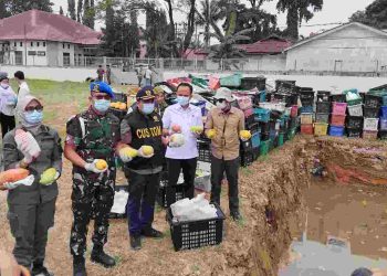 Pemusnahan Buah Mangga Ilegal Asal Thailand Digelar di Medan, Dandenpom I/5 Turut Hadir