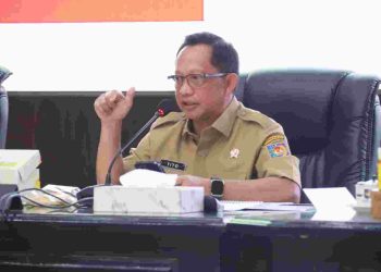 Perkuat Ketahanan Pangan, Mendagri Tekankan Pentingnya Cadangan Pangan Pemda